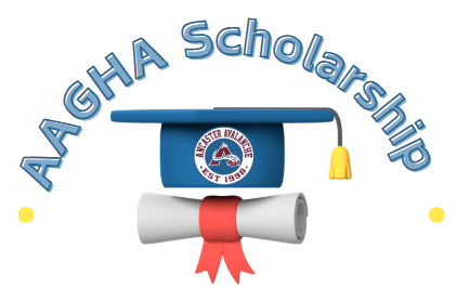 Logo_AAGHA_Scholarship_2025.png